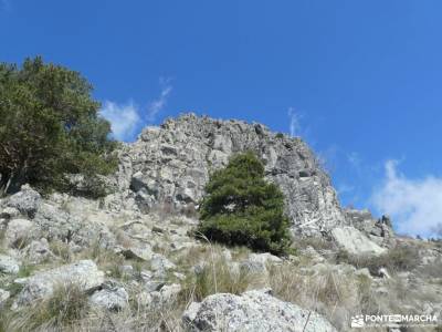 Pinar de Abantos y Zona de la Herrería del Real Sitio de San Lorenzo de El Escorial;rutas valle del 